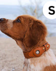 Helvano | GPS-Hundehalsband mit weltweitem Tracking