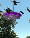 Helvano | Kolibri-Futterstation zum Aufhängen mit Ameisenschutz