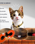 Helvano | Interaktiver Kratzer für Katzen