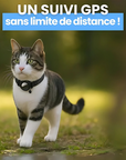 Helvano | GPS-Halsband für Katzen