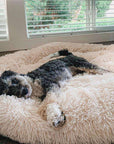 Helvano | Kuscheliges Hundebett mit weicher Polsterung
