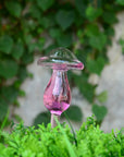Helvano | Selbstbewässernder Glas-Blumentopf für Zimmerpflanzen