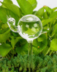 Helvano | Selbstbewässernder Glas-Blumentopf für Zimmerpflanzen