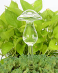 Helvano | Selbstbewässernder Glas-Blumentopf für Zimmerpflanzen