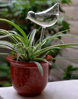 Helvano | Selbstbewässernder Glas-Blumentopf für Zimmerpflanzen