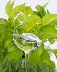 Helvano | Selbstbewässernder Glas-Blumentopf für Zimmerpflanzen