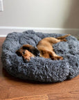 Helvano | Kuscheliges Hundebett mit weicher Polsterung