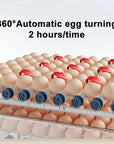 Helvano | Automatischer Inkubator für 15–36 Eier