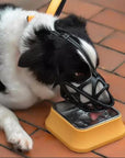 Helvano | Hundemaulkorb mit Verstellbarem Riemen