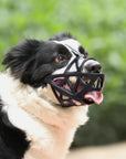 Helvano | Hundemaulkorb mit Verstellbarem Riemen