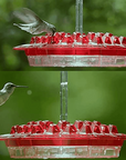 Helvano | Kolibri-Futterstation zum Aufhängen mit Ameisenschutz