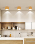 Helvano | Zylinder-Deckenstrahler mit LED