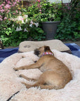 Helvano | Kuscheliges Hundebett mit weicher Polsterung