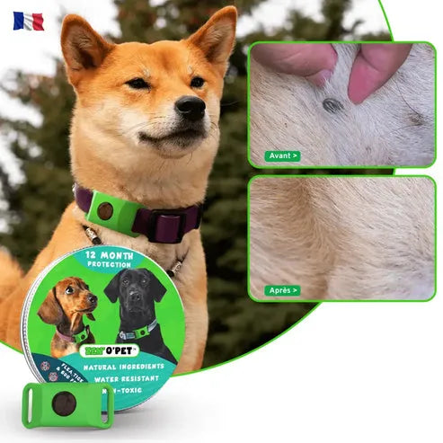 Helvano | Antiparasiten-Halsband für Hunde gegen Flöhe und Zecken