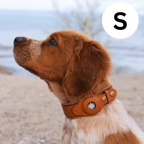 Helvano | GPS-Hundehalsband mit weltweitem Tracking