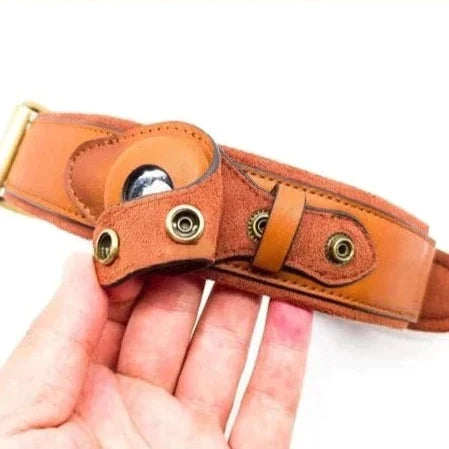Helvano | GPS-Hundehalsband mit weltweitem Tracking