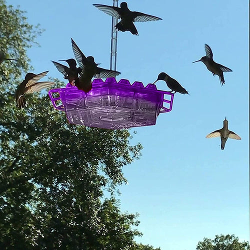 Helvano | Kolibri-Futterstation zum Aufhängen mit Ameisenschutz