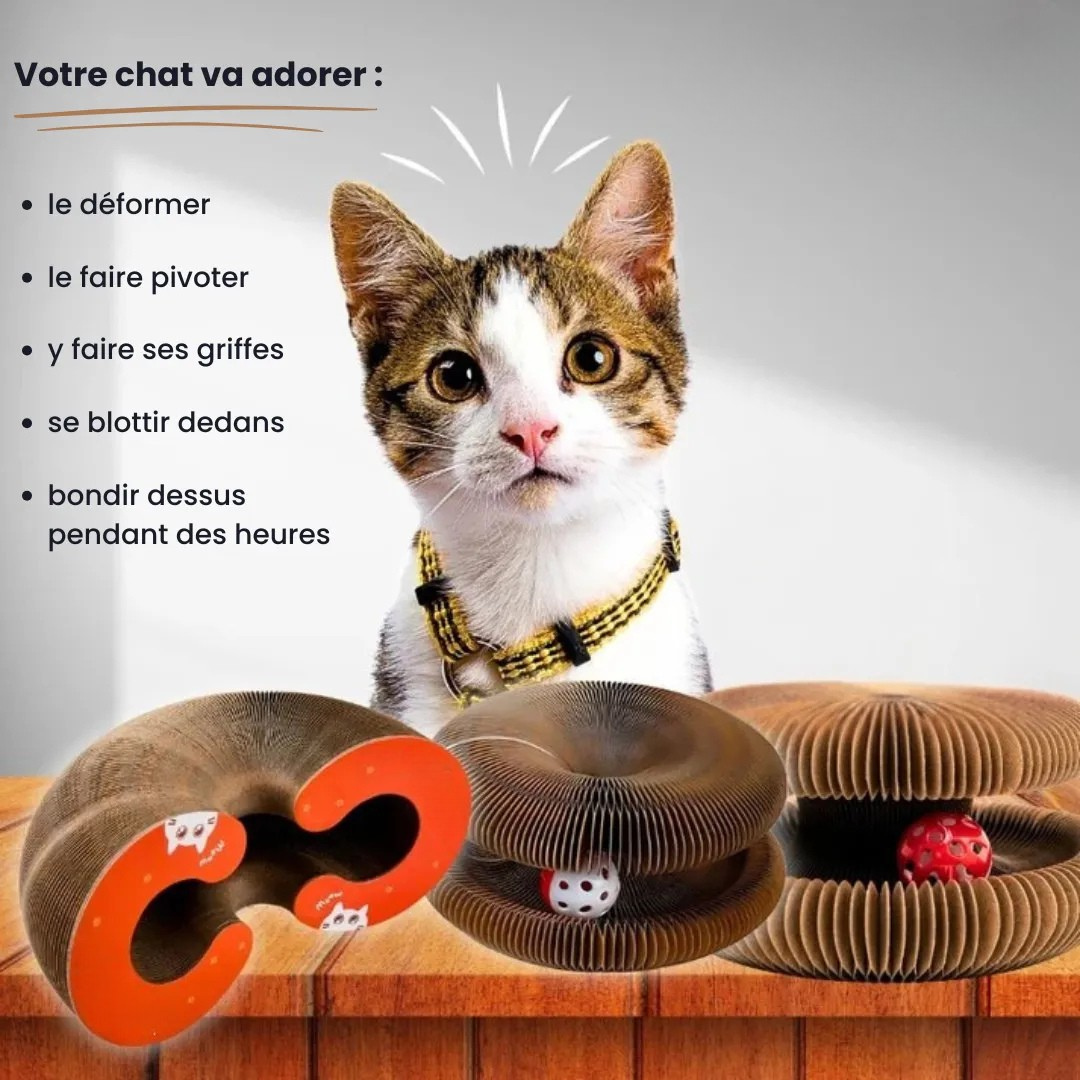 Helvano | Interaktiver Kratzer für Katzen