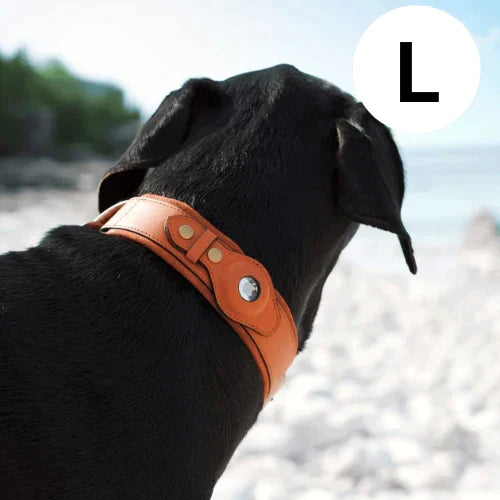 Helvano | GPS-Hundehalsband mit weltweitem Tracking