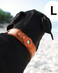 Helvano | GPS-Hundehalsband mit weltweitem Tracking