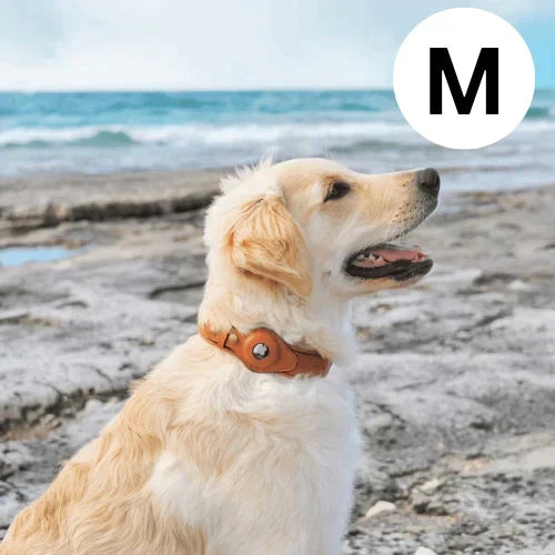 Helvano | GPS-Hundehalsband mit weltweitem Tracking