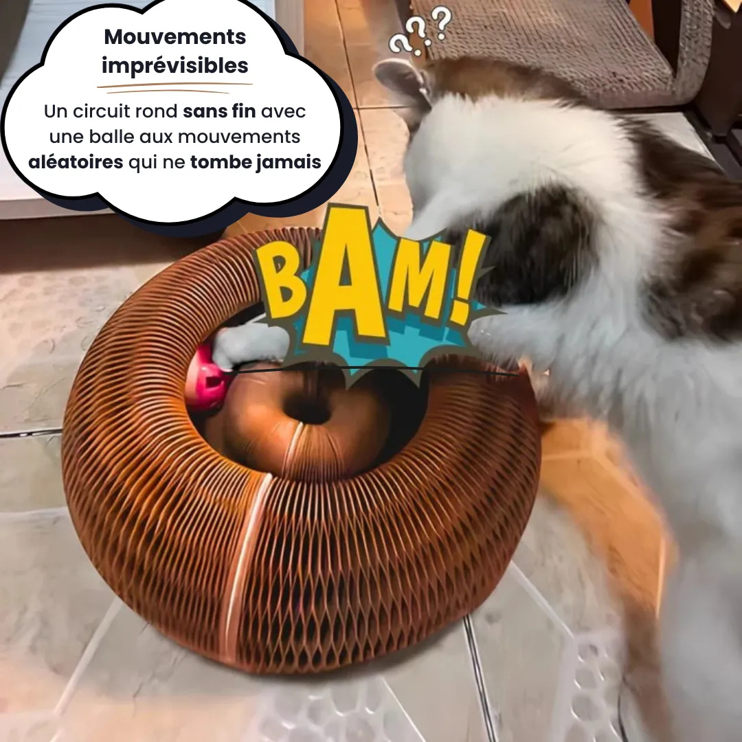 Helvano | Interaktiver Kratzer für Katzen