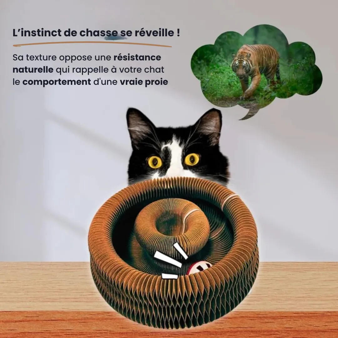 Helvano | Interaktiver Kratzer für Katzen