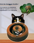 Helvano | Interaktiver Kratzer für Katzen