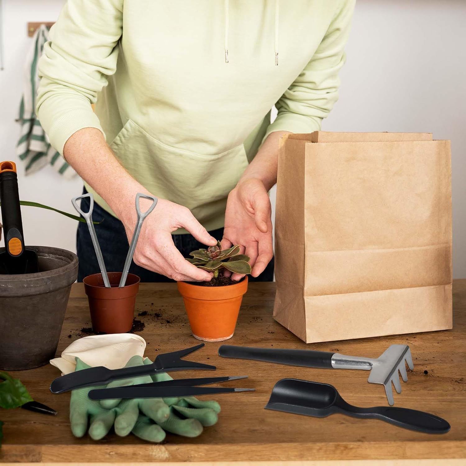 Helvano | 12-in-1 Sukkulenten-Werkzeugset mit Tasche