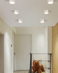 Helvano | Zylinder-Deckenstrahler mit LED