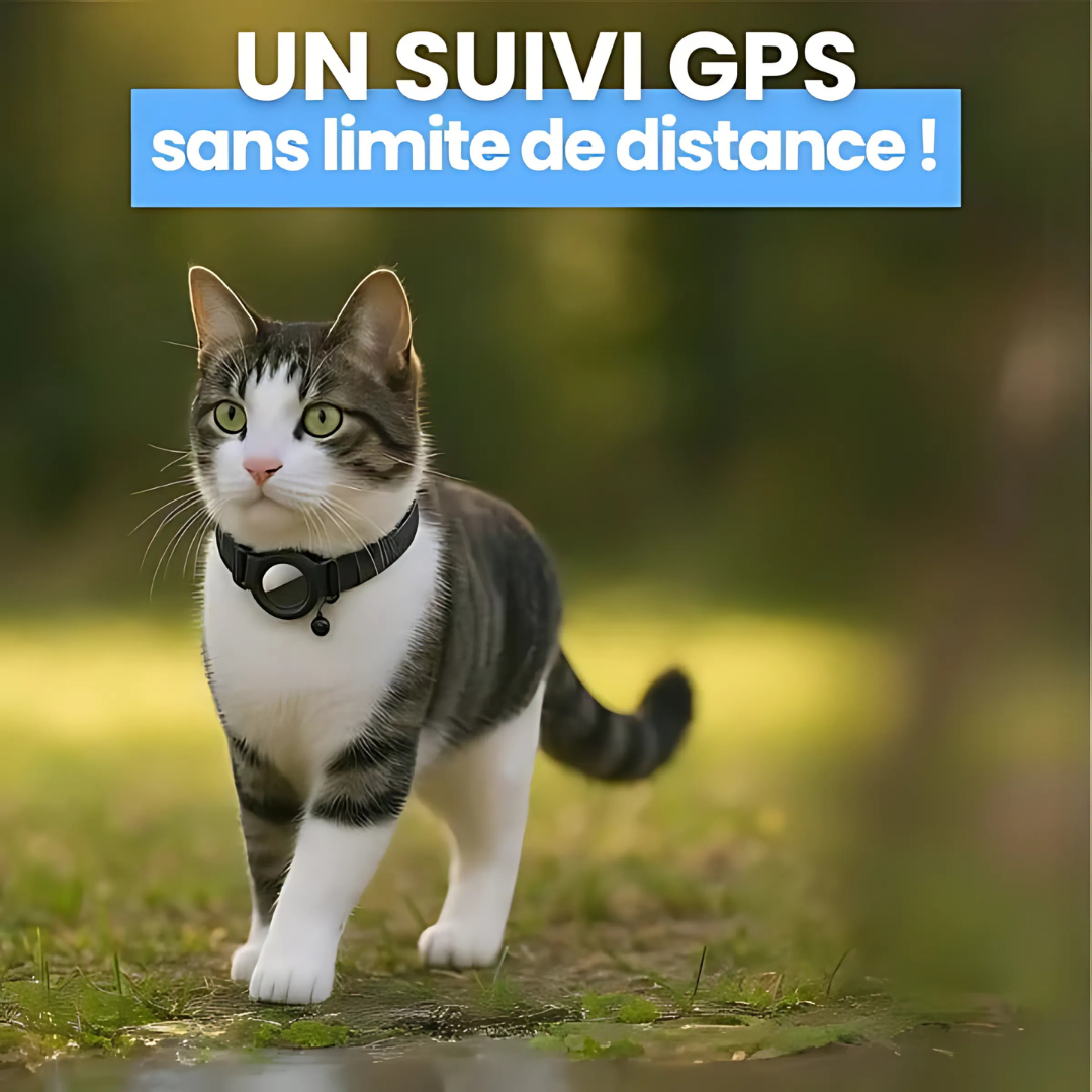 Helvano | GPS-Halsband für Katzen