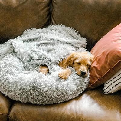 Helvano | Kuscheliges Hundebett mit weicher Polsterung