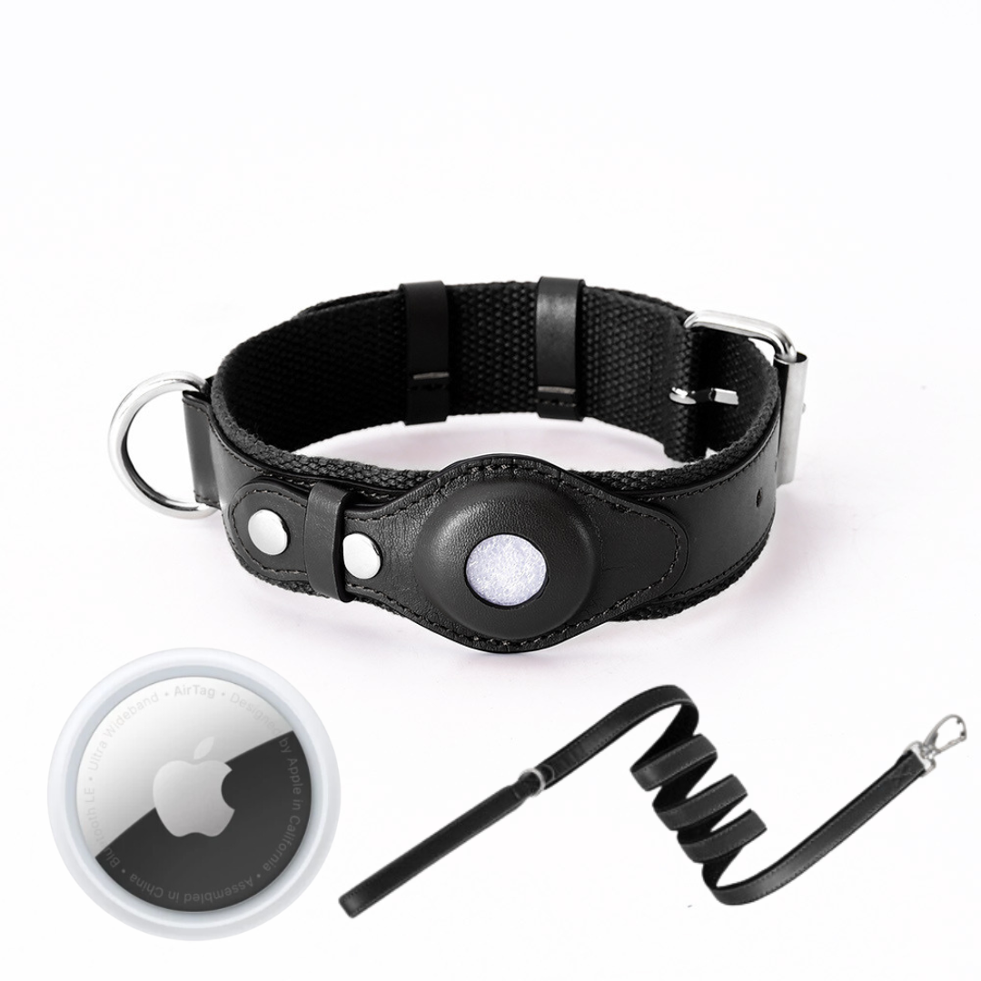 Helvano | GPS-Hundehalsband mit weltweitem Tracking