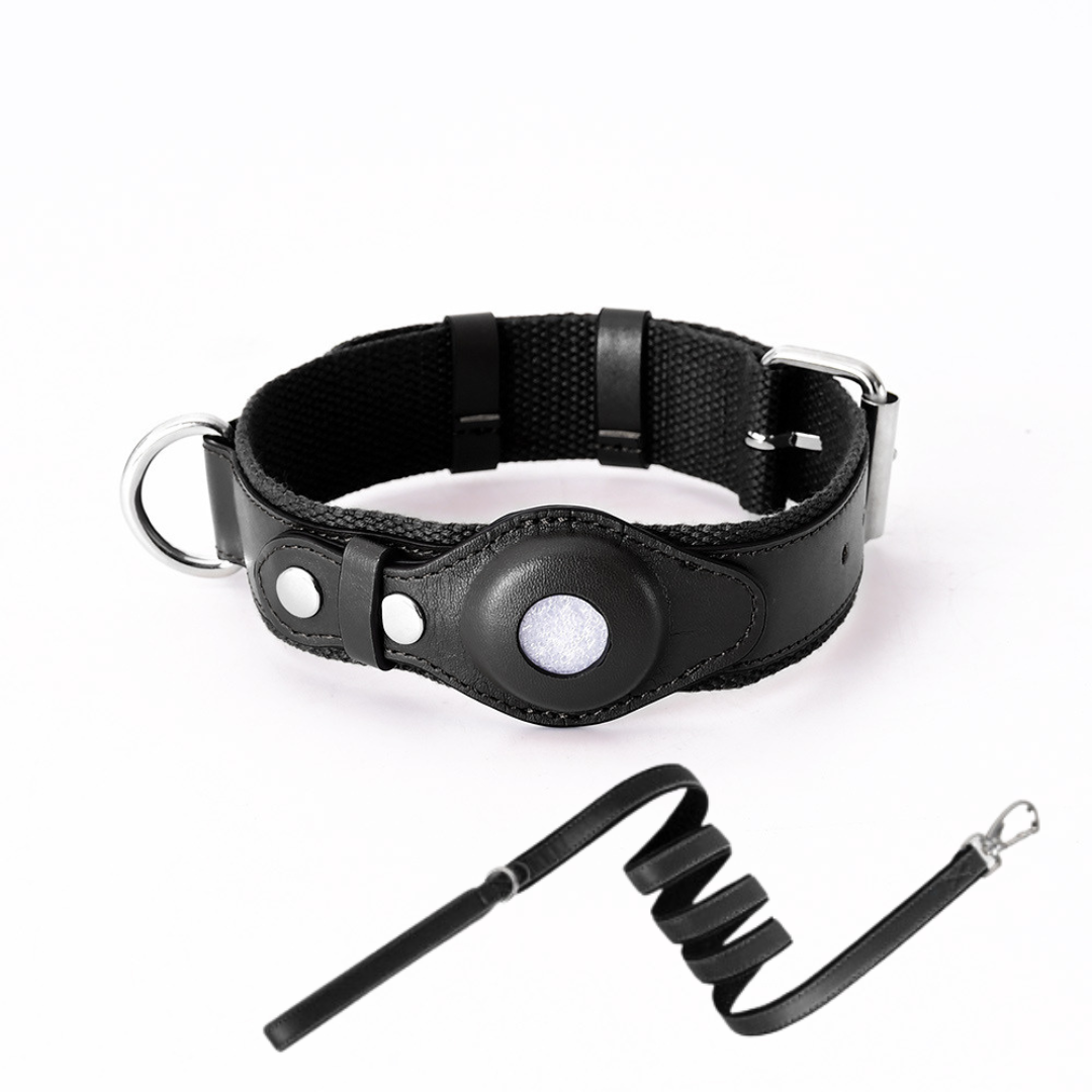 Helvano | GPS-Hundehalsband mit weltweitem Tracking