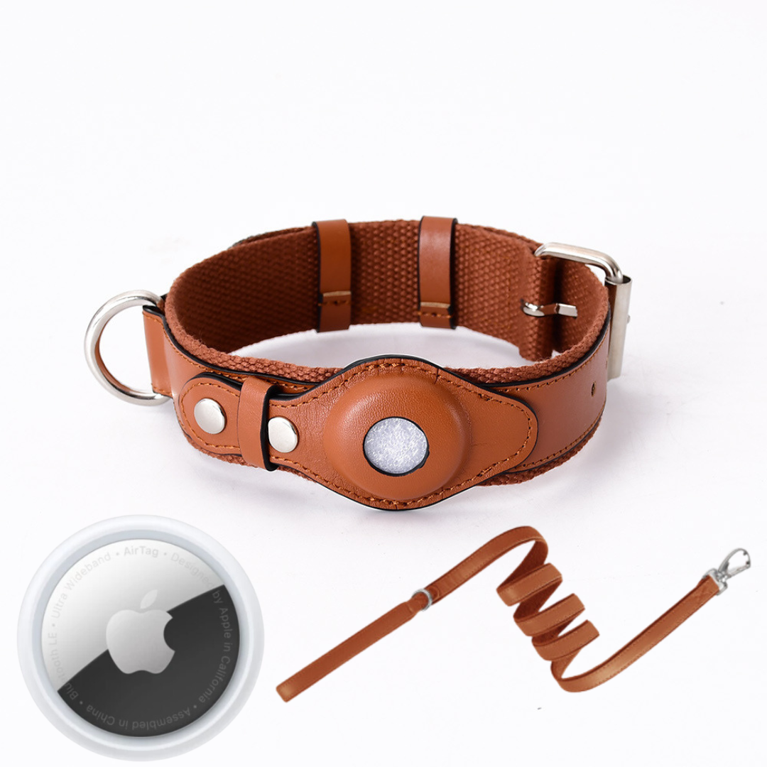 Helvano | GPS-Hundehalsband mit weltweitem Tracking