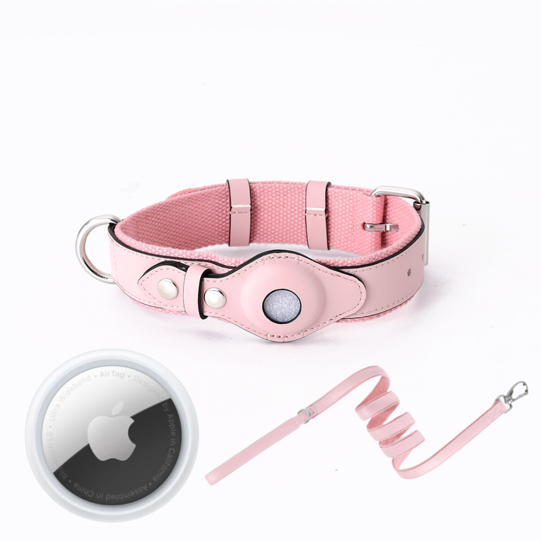 Helvano | GPS-Hundehalsband mit weltweitem Tracking