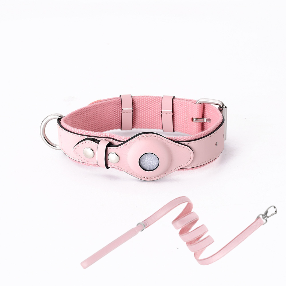 Helvano | GPS-Hundehalsband mit weltweitem Tracking