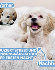 Helvano | Kuscheliges Hundebett mit weicher Polsterung