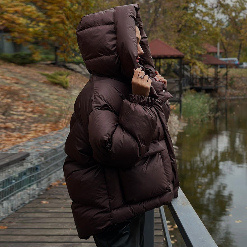 Helvano | Gesteppte Winterjacke mit Kapuze für Damen in Dunkelbraun