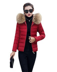 Helvano | Damen Winterjacke mit Kunstfellkragen