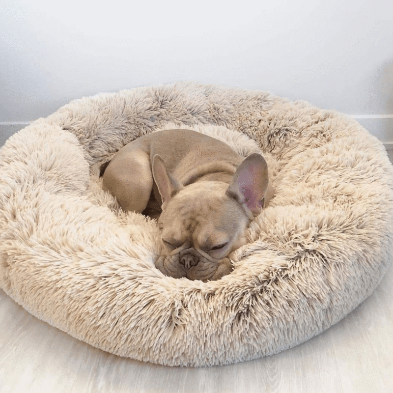 Helvano | Kuscheliges Hundebett mit weicher Polsterung