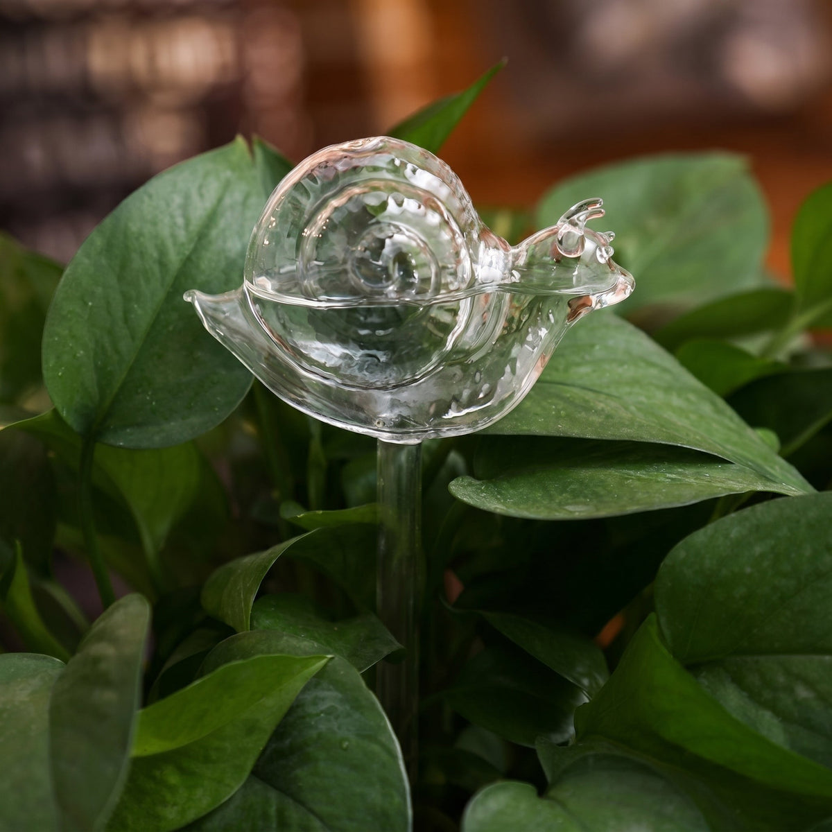 Helvano | Selbstbewässernder Glas-Blumentopf für Zimmerpflanzen