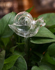 Helvano | Selbstbewässernder Glas-Blumentopf für Zimmerpflanzen