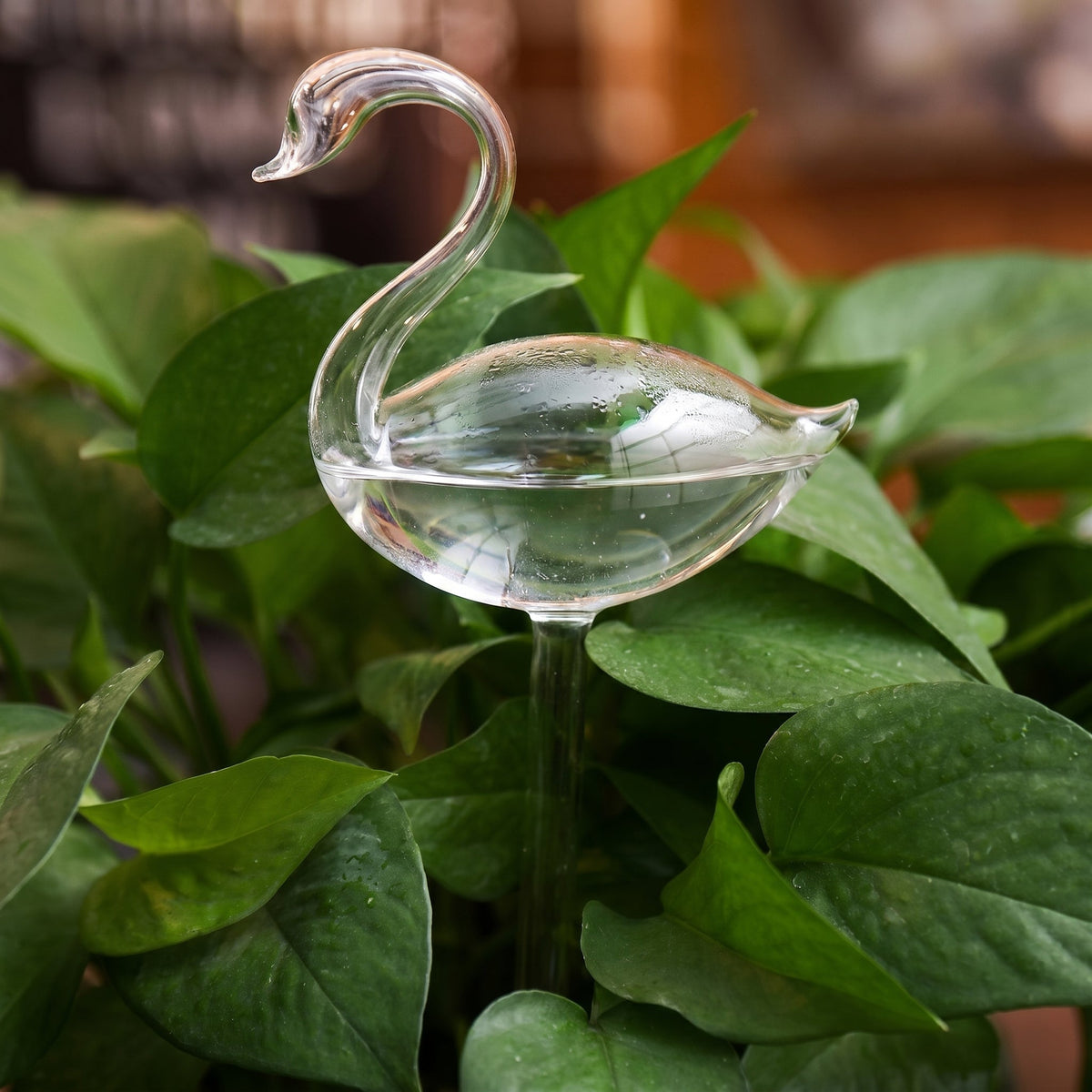 Helvano | Selbstbewässernder Glas-Blumentopf für Zimmerpflanzen