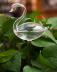 Helvano | Selbstbewässernder Glas-Blumentopf für Zimmerpflanzen