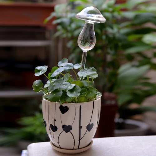 Helvano | Selbstbewässernder Glas-Blumentopf für Zimmerpflanzen