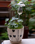 Helvano | Selbstbewässernder Glas-Blumentopf für Zimmerpflanzen