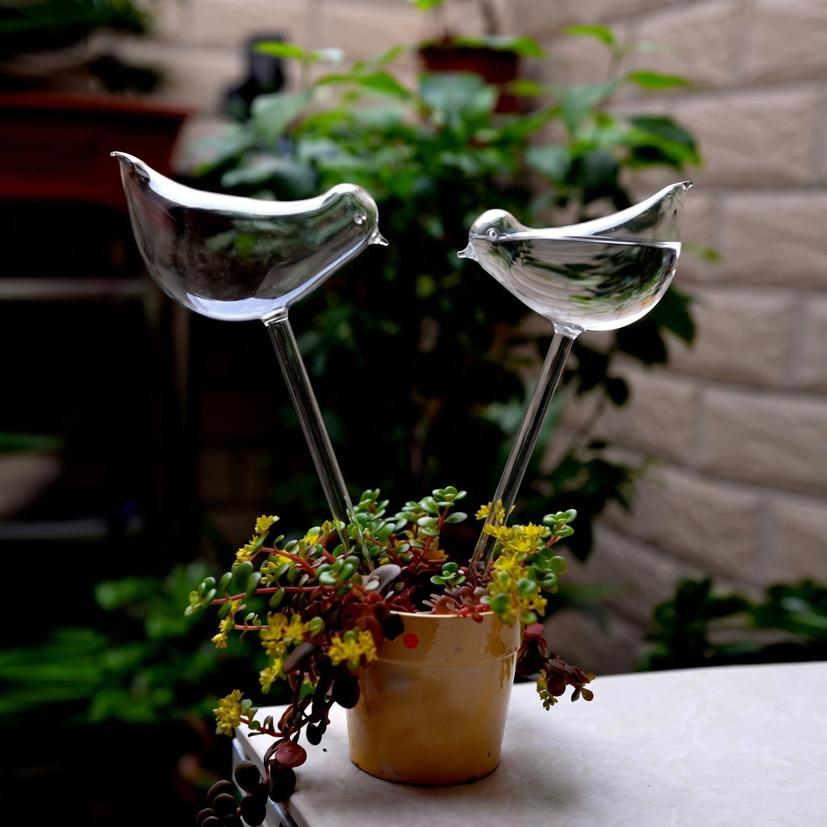 Helvano | Selbstbewässernder Glas-Blumentopf für Zimmerpflanzen