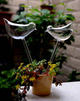 Helvano | Selbstbewässernder Glas-Blumentopf für Zimmerpflanzen