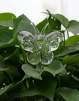 Helvano | Selbstbewässernder Glas-Blumentopf für Zimmerpflanzen